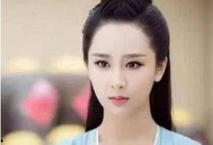 紫金来的女明星,揭秘那些闪耀的女明星