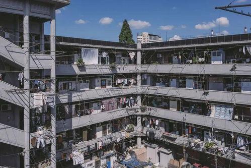 隆昌周边网红打卡,探寻这座城市的隐藏魅力角落”