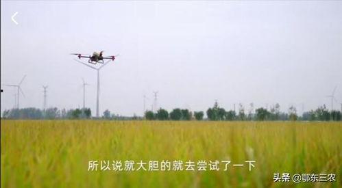 种地女网红,种地女网红的田园生活传奇”