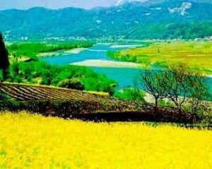 明星沈家营,明星闪耀，魅力四溢的璀璨星途