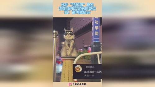 长沙派出所吃瓜,揭秘警民互动背后的温馨瞬间