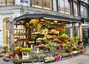 唐山花店老板51吃瓜,揭秘背后真相与网络舆论风暴