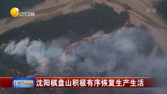 沈阳棋盘山新闻头条最新,紧急救援行动正在进行中