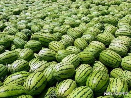 行健大瓜吃瓜群,揭秘吃瓜群里的那些事儿