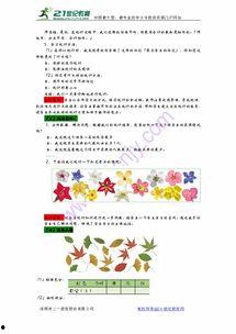 一年级小明星卡片制作,记录成长足迹的可爱小物