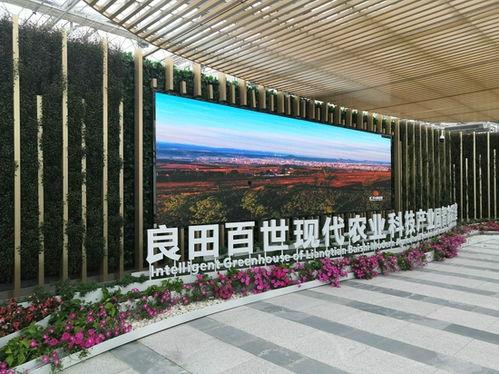 网红良田公司,打造绿色农业新潮流