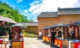 河南周口农村的网红村,田园风光中的数字奇迹，揭秘农村新风尚”