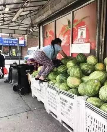 吃瓜团大妈,揭秘社区里的“舆论风向标”