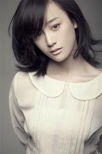 电视剧明星简介,揭秘电视剧明星的辉煌历程