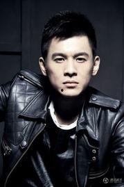 富贵男明星,揭秘富贵男明星的璀璨人生