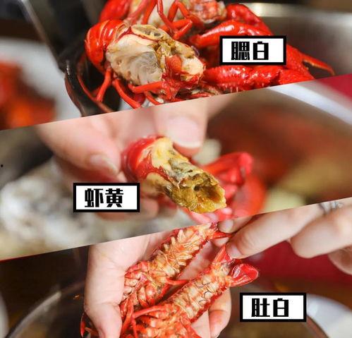 宁波网红夜宵,网红美食地图大揭秘