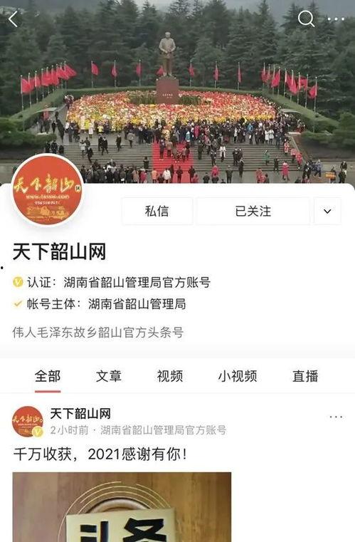 头条总阅读量无变化,揭秘头条总阅读量不变之谜