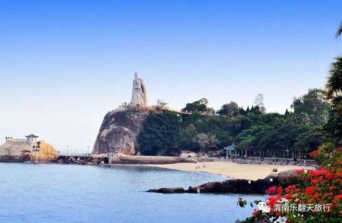 头条号鼓浪屿,探寻鼓浪屿的历史韵味与艺术魅力