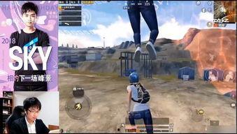 每日大赛大战过后,每日大赛战果盘点