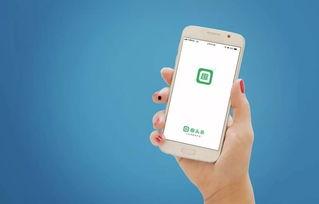 北京头条公司中层领导,引领创新，驱动发展