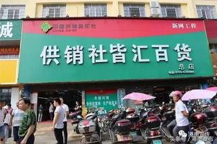 港南头条,聚焦热点，解码区域发展新动向