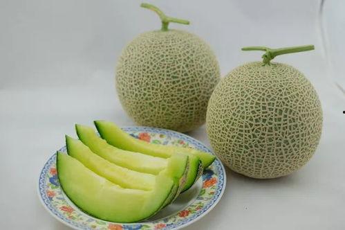 带你吃瓜装新家,吃瓜装新家，揭秘家居装修新潮流