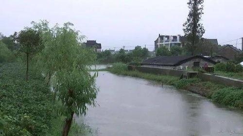 金平嘉水新闻头条