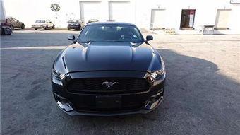 网红福特野马,网红福特野马，速度与激情的完美融合