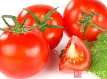 西红柿网红男在哪直播,揭秘他的热门直播间