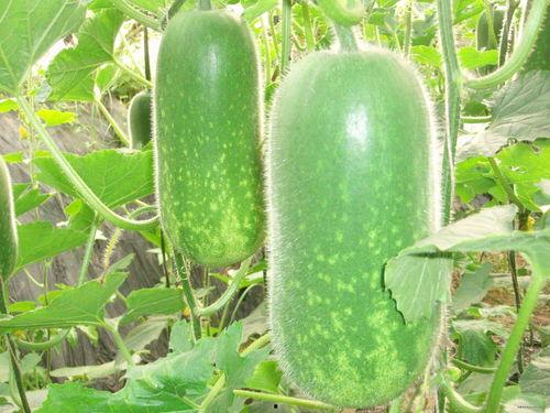 奔现被渣吃瓜,一场网络爱情的现实反转