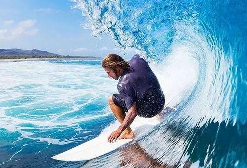 只爱冲浪的吃瓜,冲浪狂热者独享的吃瓜盛宴