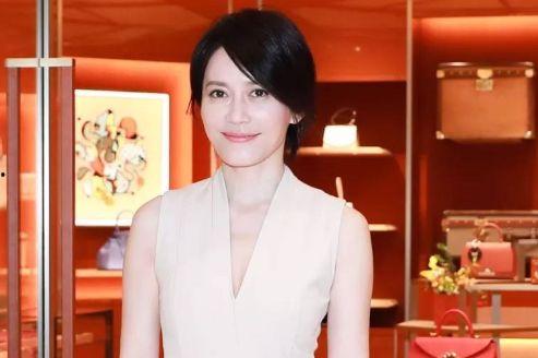 中年女明星没结婚,揭秘中年女明星的单身生活