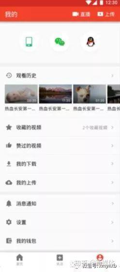 头条怎么添加专栏卡包,头条专栏卡包使用指南