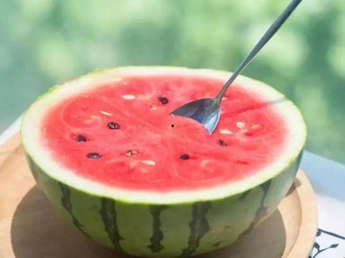 2区吃瓜,揭秘2区吃瓜背后的秘密与趣味