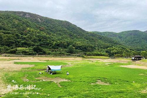 北仑网红营地,打卡新宠，探索宁波时尚休闲新地标