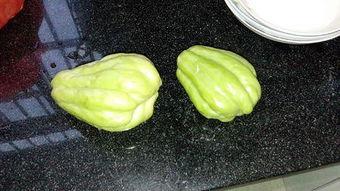 兔子可以吃芙蓉瓜吗