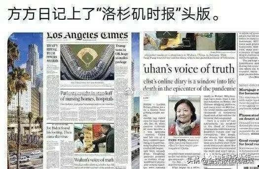 关于方方日记的最新爆料,揭秘背后真相与争议