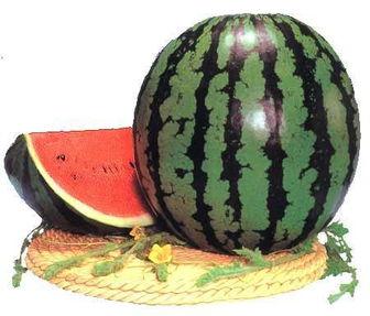 吃瓜care,care背后的故事与影响