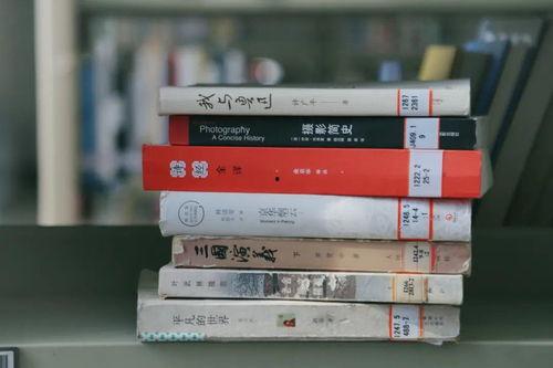 兰州今日头条最新爆料,揭秘重大新闻事件背后真相