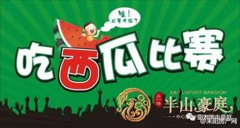 吃瓜网站大赛,吃瓜网站大赛精彩回顾