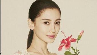 中国明星阴暗料,真相与争议并存