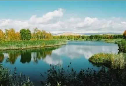 成都白沙湖最新爆料新闻,揭秘真相与影响