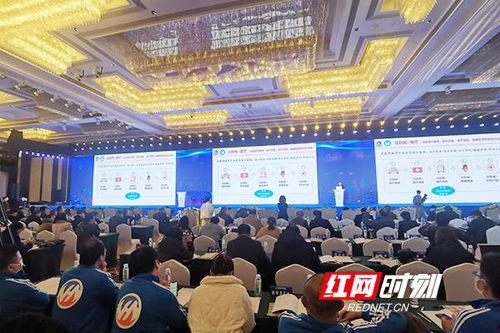 衡阳红网论坛,聚焦城市发展，共话民生福祉