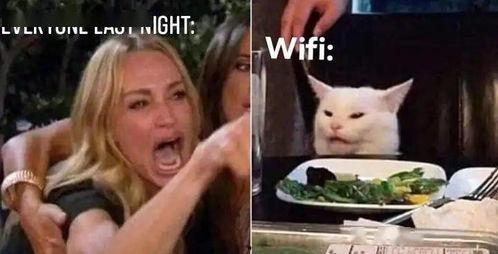 离奇吃瓜语录大全集,揭秘网络热传的神秘奇谈