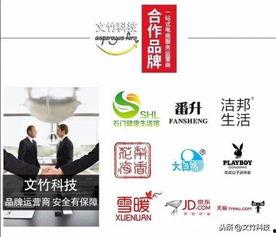 中国网红开店视频大全,揭秘热门网红创业之路