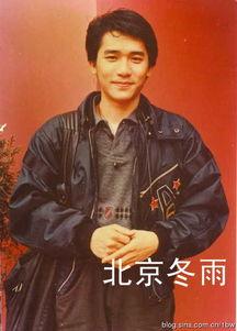 明星表白梁朝伟,明星浪漫邂逅引关注