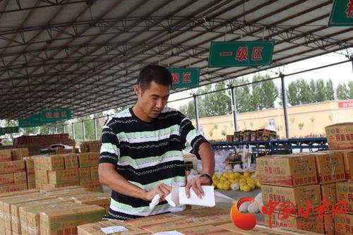 民勤西二旗网红,网红打卡地，探寻都市中的田园风光