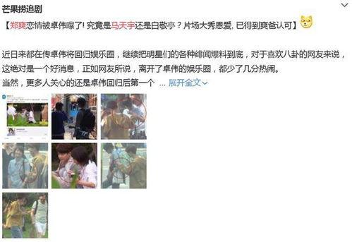 卓伟爆料马天宇郑爽视频,娱乐圈再掀风波
