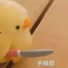 仙女吃瓜表情包图片