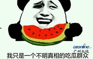 吃瓜群众的梗哪来的,网络时代的流行文化现象解析